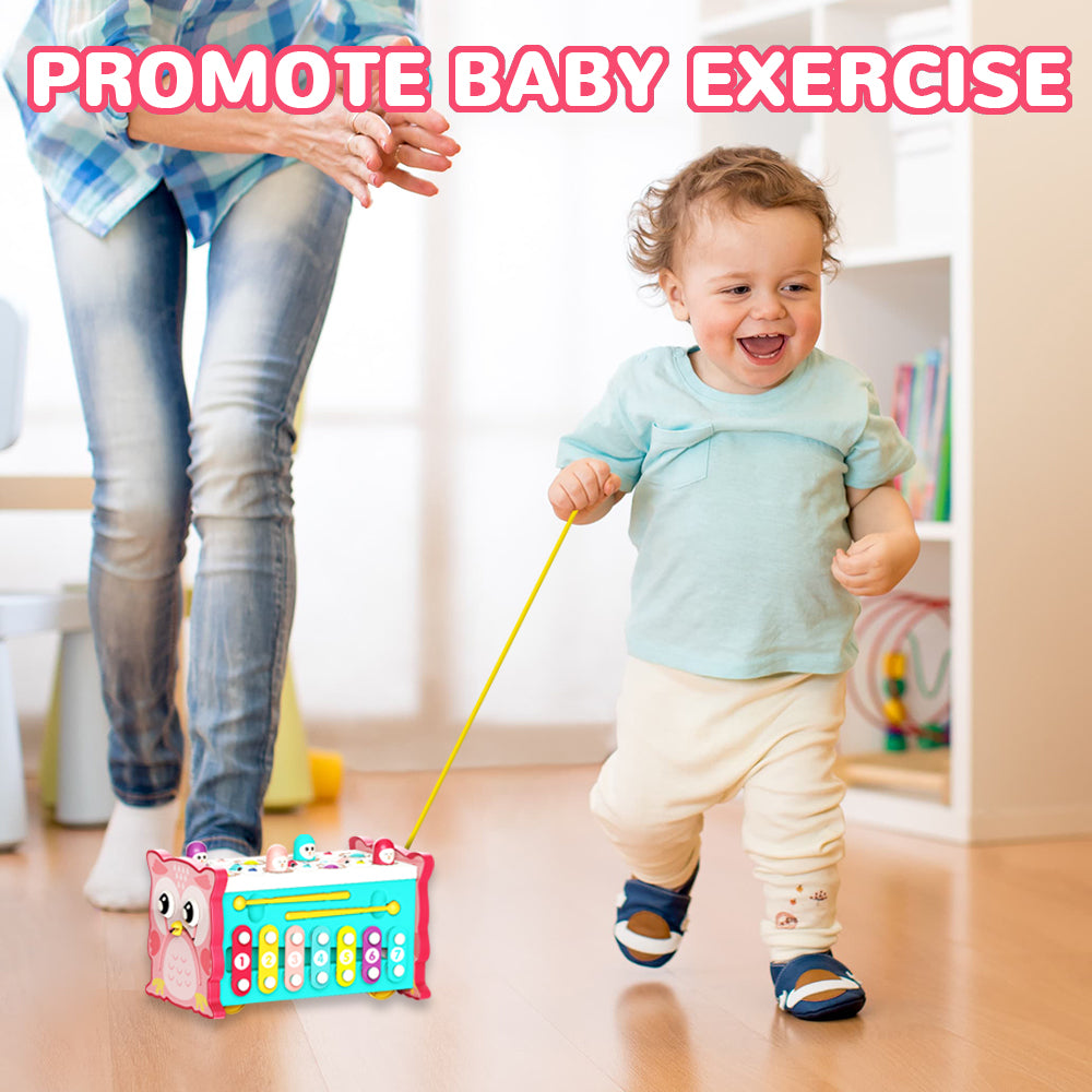 Baby Toys for 12 24 Months, Wooden Hammering Pounding Toy for Toddlers 1-3, Montessori Early Development Toys, Learning Toys for 1 2 3 Year Old Girls Boys
