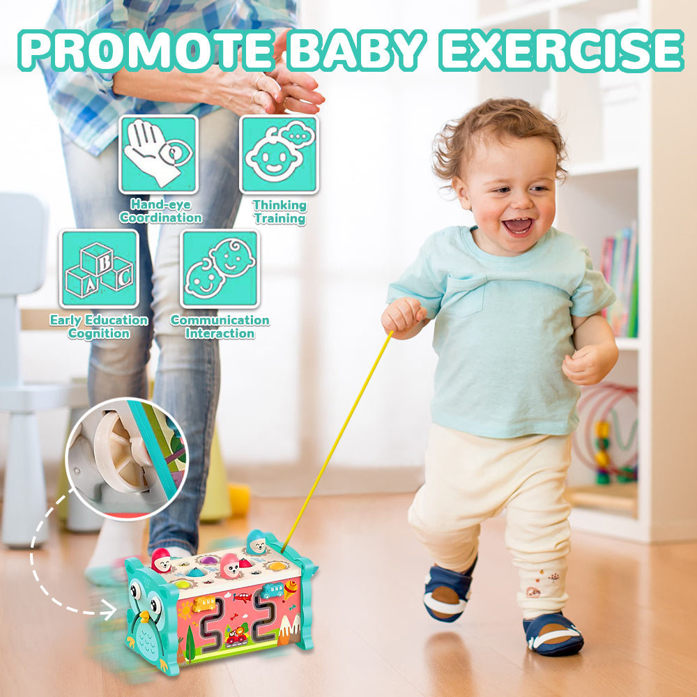 Baby Toys for 12-24 Months, Wooden Hammering Pounding Toy for Toddlers 1-3, Montessori Early Development Toys, Learning Educational Toys for 1 2 3 Year Old Boys Girls
