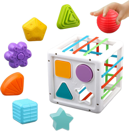 Baby Toys 6-12 Months, Shape Sorter Blocks Toy,Montessori Learning Toys for 1 Year Old Boys Girls Christmas Easter Toy Gifts