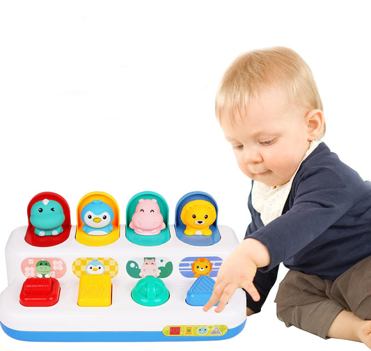 Sensory Toys for Baby 12-24 Months, Educational Toy for Toddlers Ages 1 2 Year Old Boy Girl Birthday Gifts