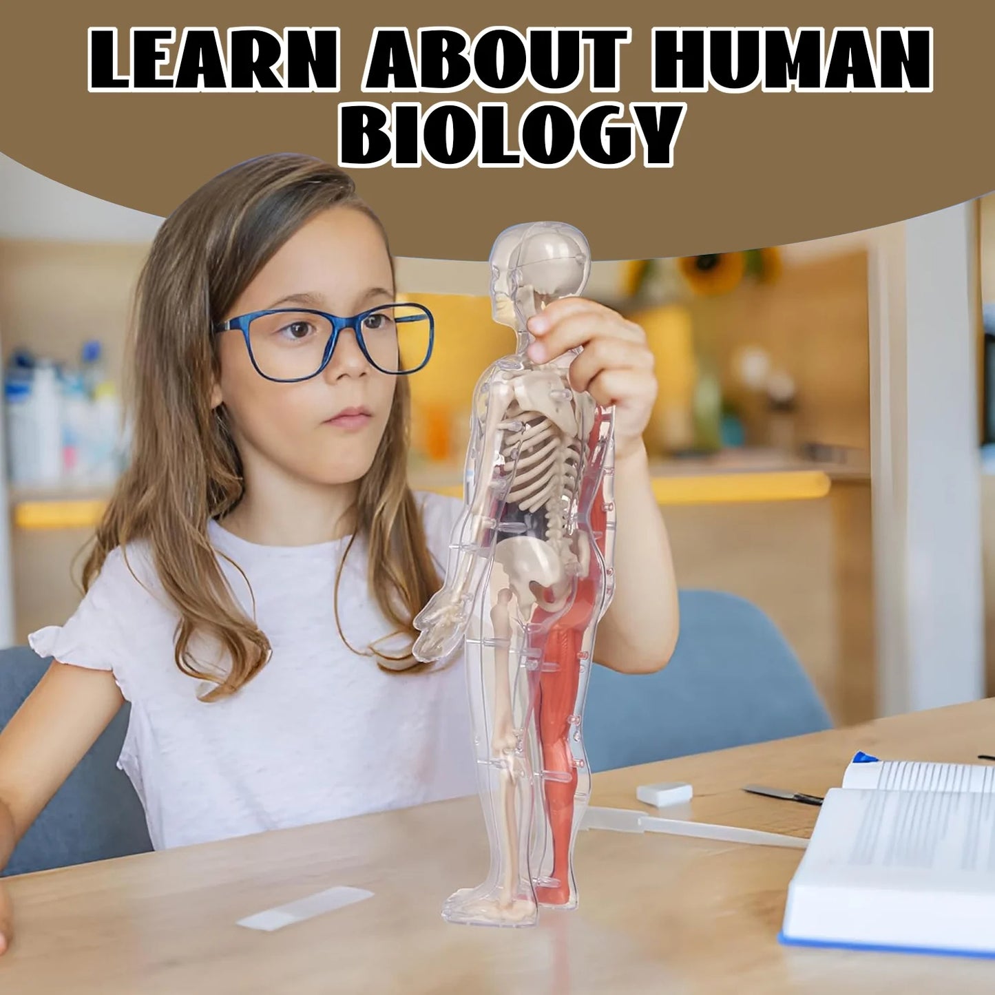 Human Body Model for Kids, 35 Piece Anatomy Figure, Learning Toys for 6 7 8 9 10 11 12 Year Olds Boys Girls